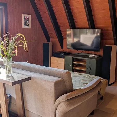 Livias Nurdachhaus Mit Sauna Terrasse Und Garten Am Wald 別荘 Wittingen